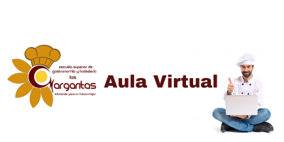 Aula Virtual